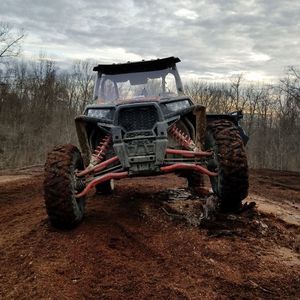 Meet your Posher, Beau